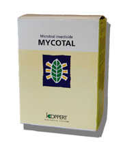 mycotal08.jpg